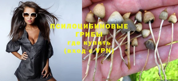 jwh Каменка